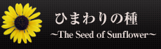 ひまわりの種